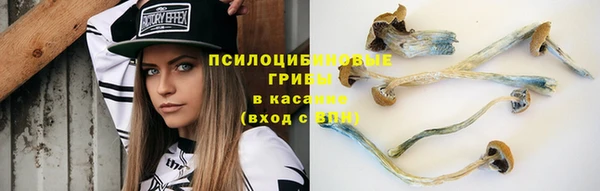 не бодяженный Абинск