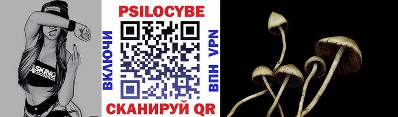 Галлюциногенные грибы Psilocybe  Усмань 