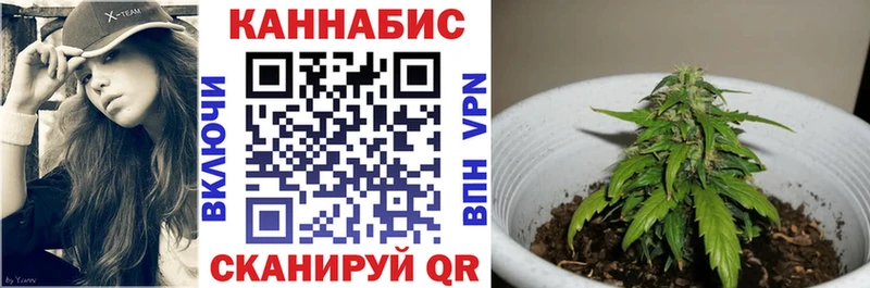как найти закладки  Усмань  ссылка на мегу зеркало  МАРИХУАНА OG Kush 